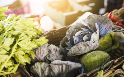 Upoznavanje s lokalnim namirnicama na crikveničkoj tržnici, mesnici i ribarnici