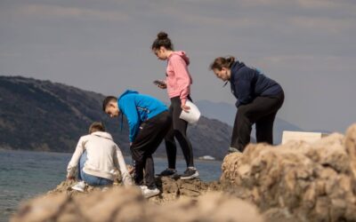 Istraživanje zone plime i oseke u Jadranovu